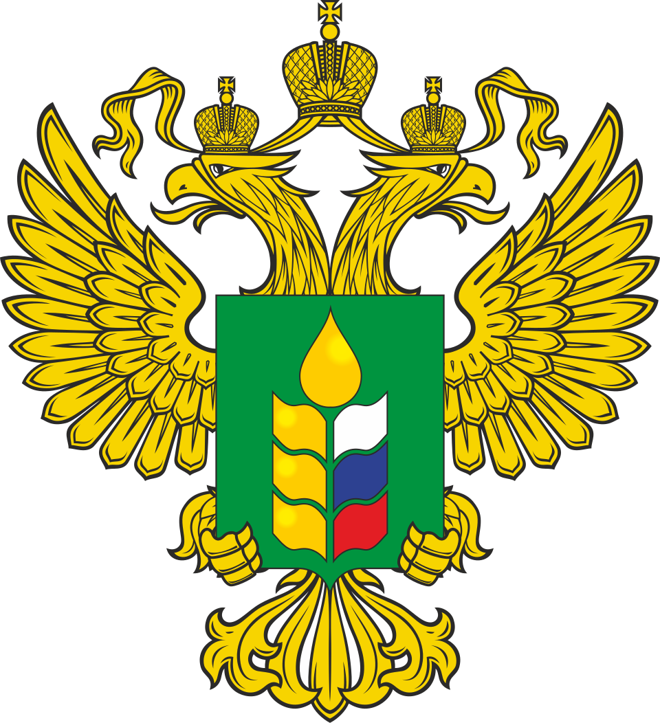 Название 3